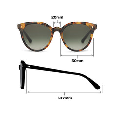 Aaryn Blonde Tortoise Handcrafted Sunglasses