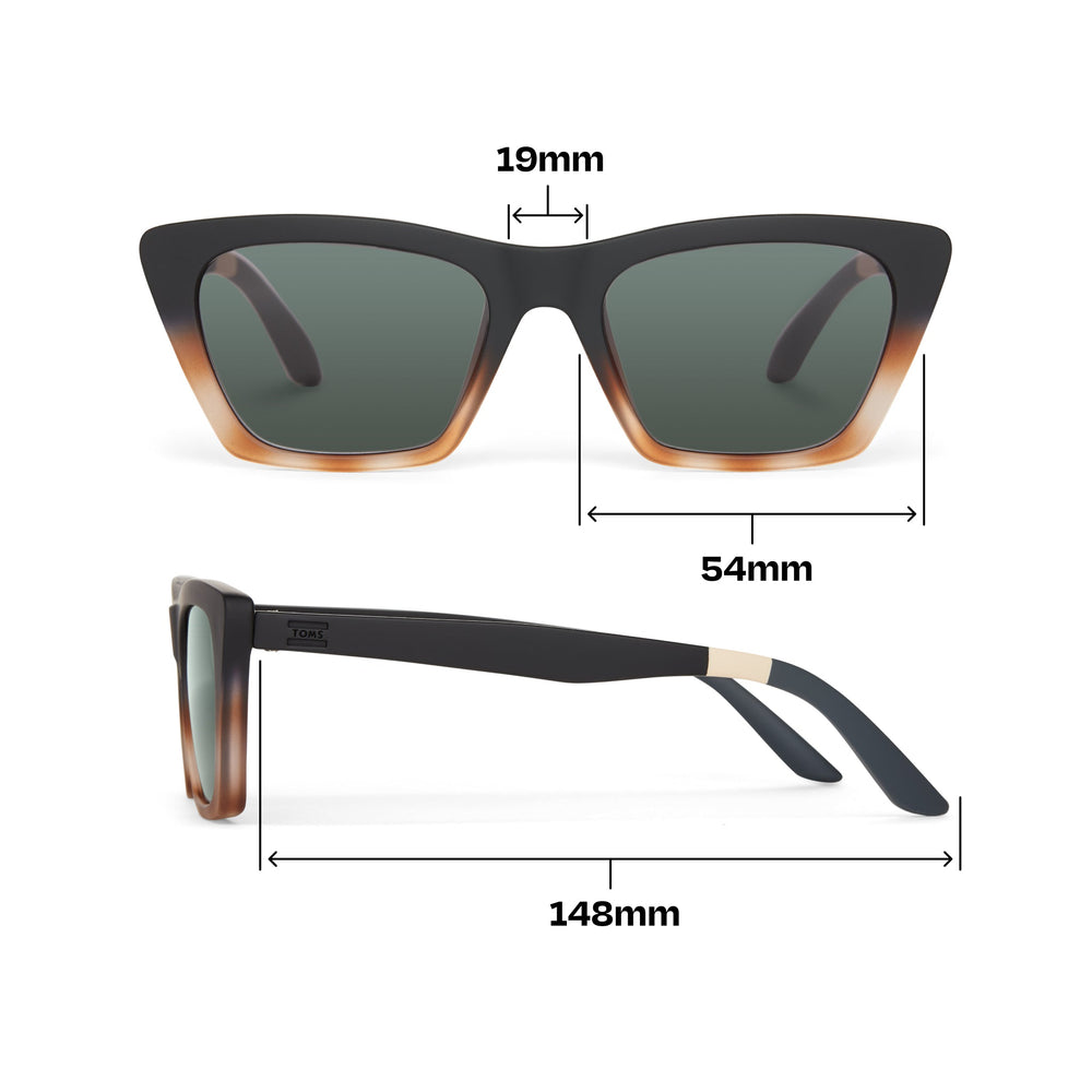 Sahara Black Honey Tortoise Fade Traveler Sunglasses